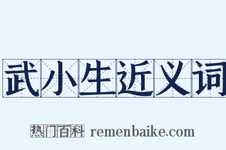 武小生近义词是什么意思的图片